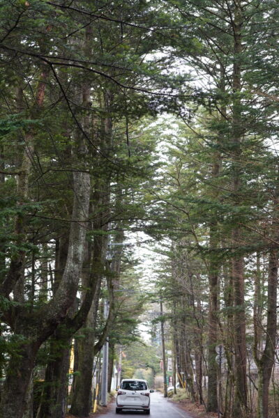 DSC04036