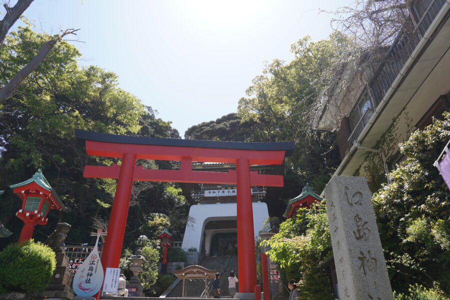 DSC04226