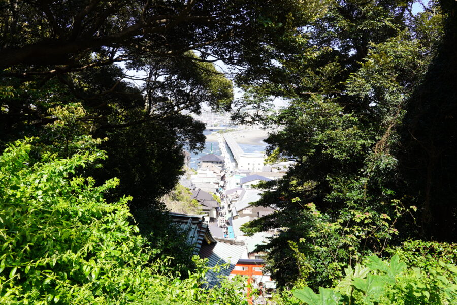 DSC04233