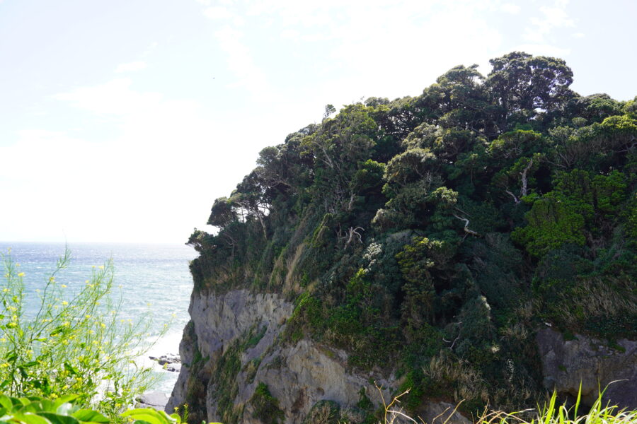 DSC04254