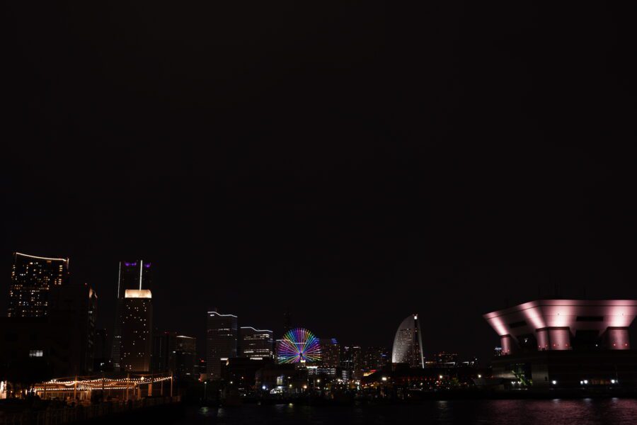 DSC03982