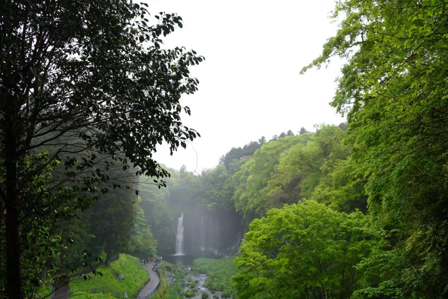 DSC04796-min